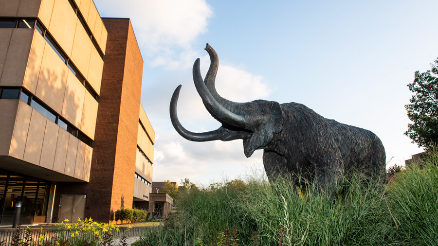 A scenic shot of Helmke Library and the bronze mastodon statue outside of it.